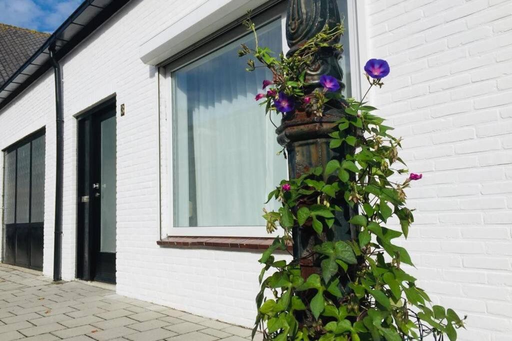 Vakantiehuis Vlakbij Het Strand En Natuur Villa Biervliet Ngoại thất bức ảnh