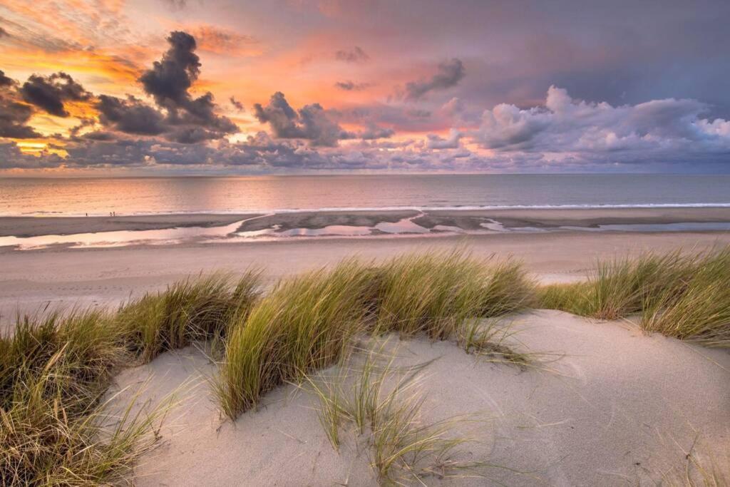 Vakantiehuis Vlakbij Het Strand En Natuur Villa Biervliet Ngoại thất bức ảnh