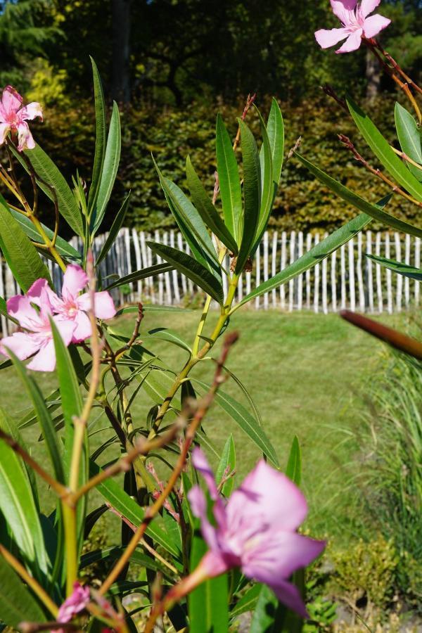 Vakantiehuis Vlakbij Het Strand En Natuur Villa Biervliet Ngoại thất bức ảnh